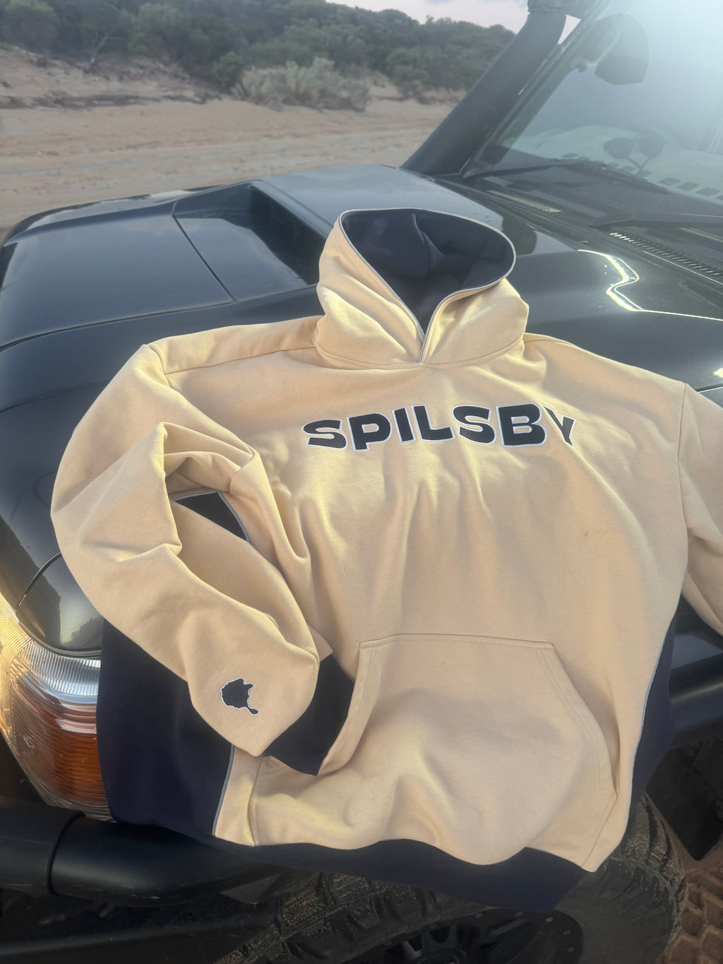 Sandy Taupe Hoodie